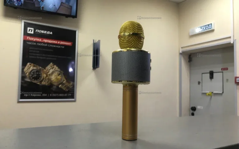 Микрофон караоке wster