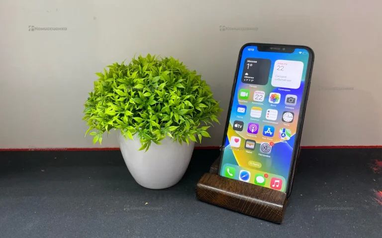 Apple iPhone X 3/64 ГБ