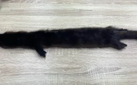 Купить Шкура норки (коричневый) б/у , в Казань Цена:1500рублей