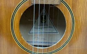 Гитара Концертная