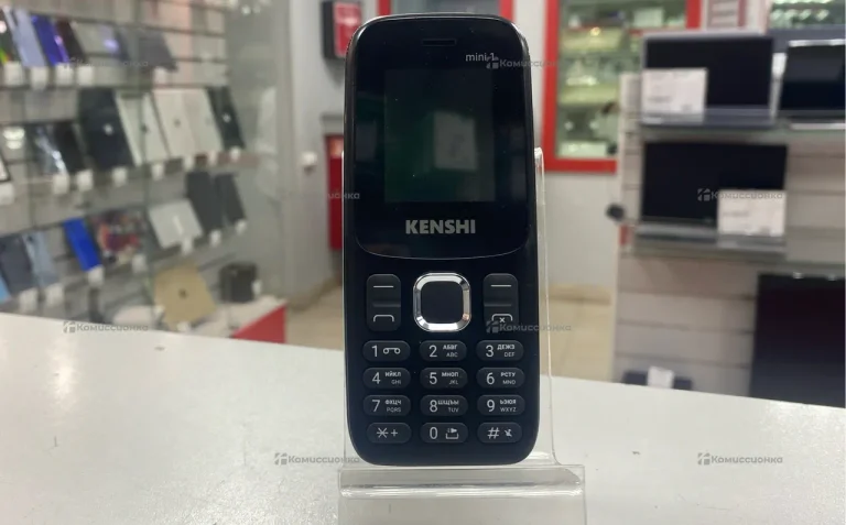 kenshi type C