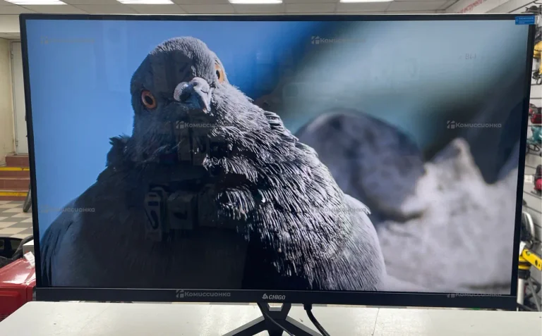 Монитор CHIGO Display 27" IPS  (120Hz)  F27-F120B1, черный