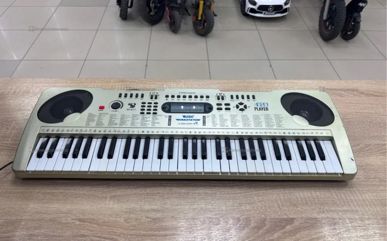 Синтезатор Music WorkStation SD-6111