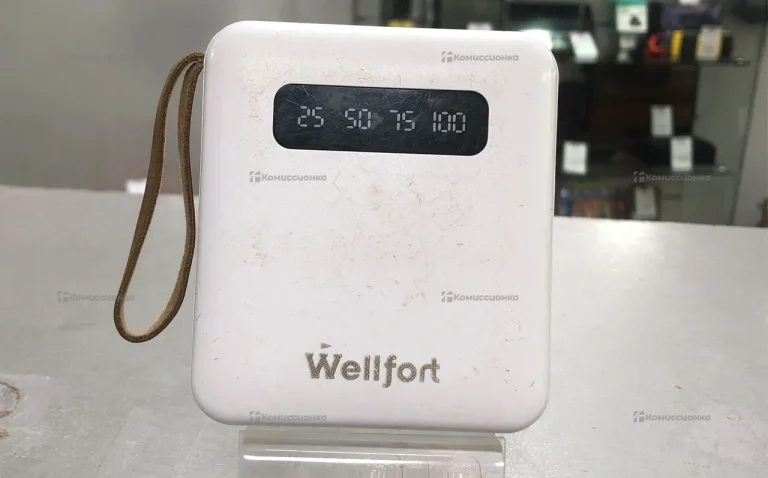 Power Bank Wellfort
