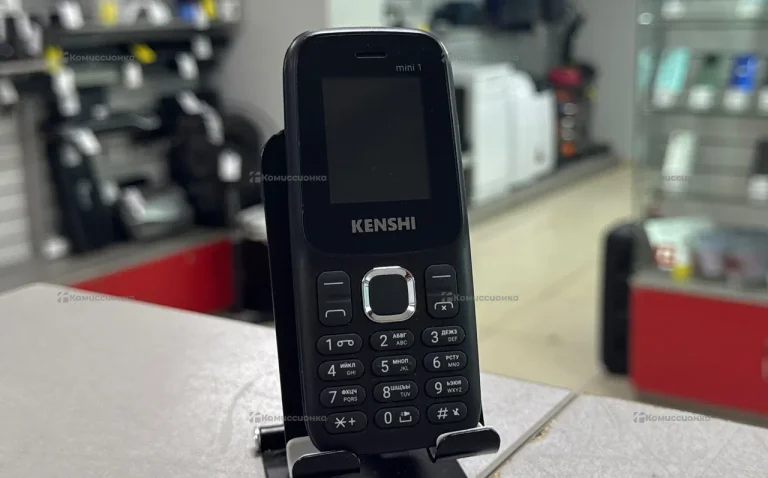 Kenshi mini 1