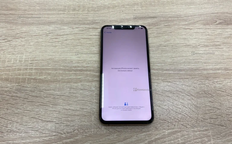 Apple iPhone XS Max 4/256 ГБ