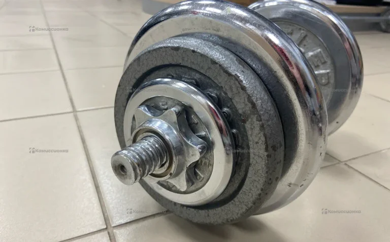 Гантель разборная с блинами 5*2 и 2,5*2