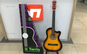 Гитара Terris TF-3802C