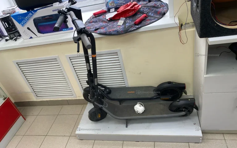 Электросамокат Ninebot E2