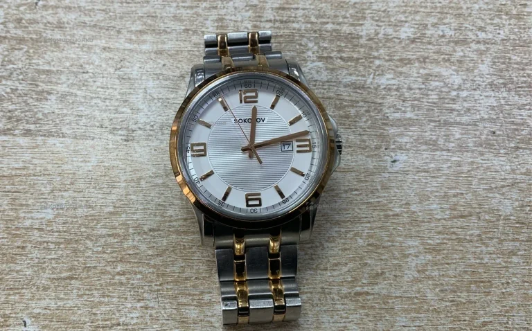Часы  Sokolov S1.301