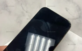 Apple iPhone 16 Pro Max 8/256 ГБ