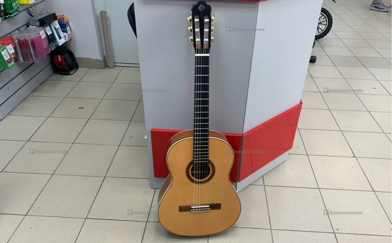 Гитара CG-100