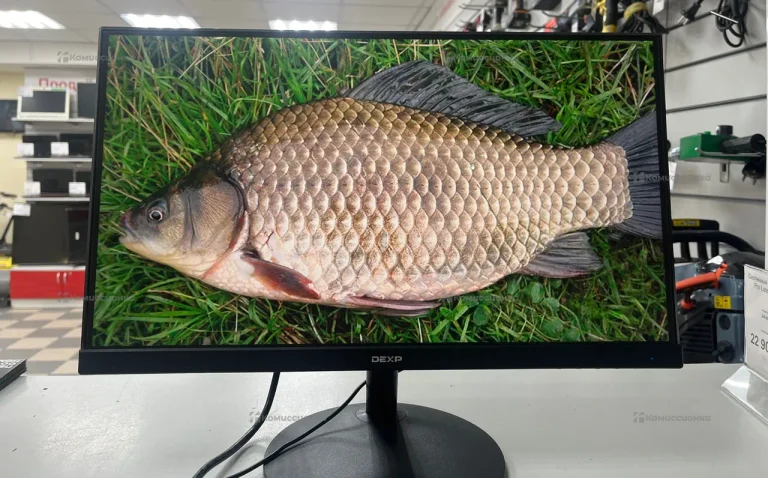 Монитор DEXP ff201h