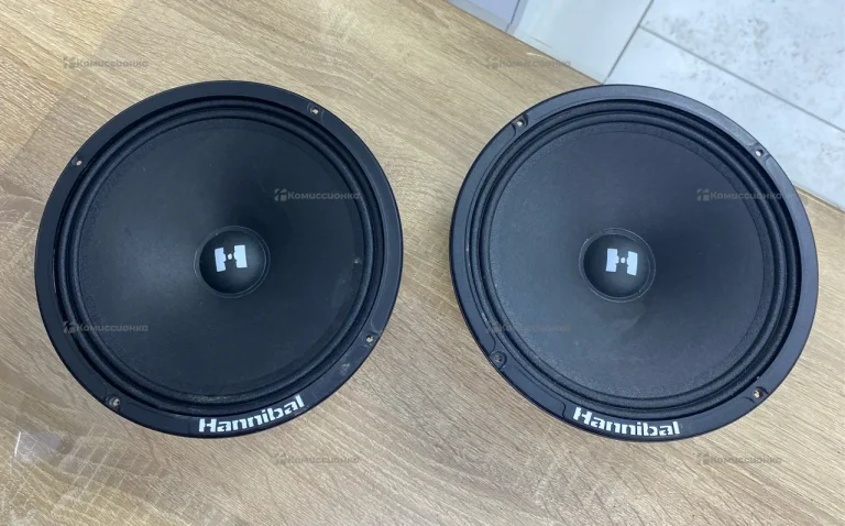 Колонки Hannibal HM-8E Pro