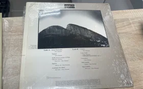 Виниловая пластинка