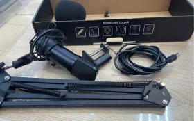 Микрофон Ritmix RDM-169