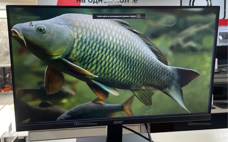 Монитор Acer V247Ybi