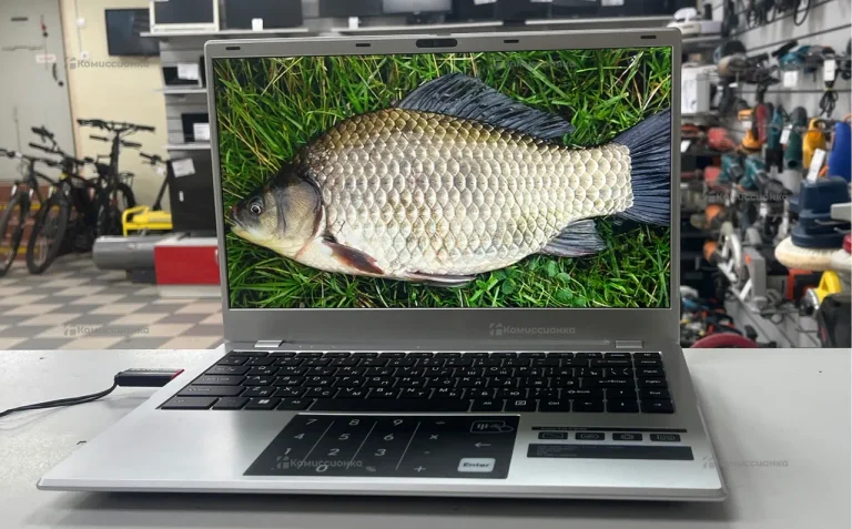 Ноутбук  Dexp Aquilon C14-ICW300