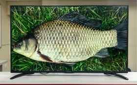 Телевизор IRBIS 50U1YDX125BS2