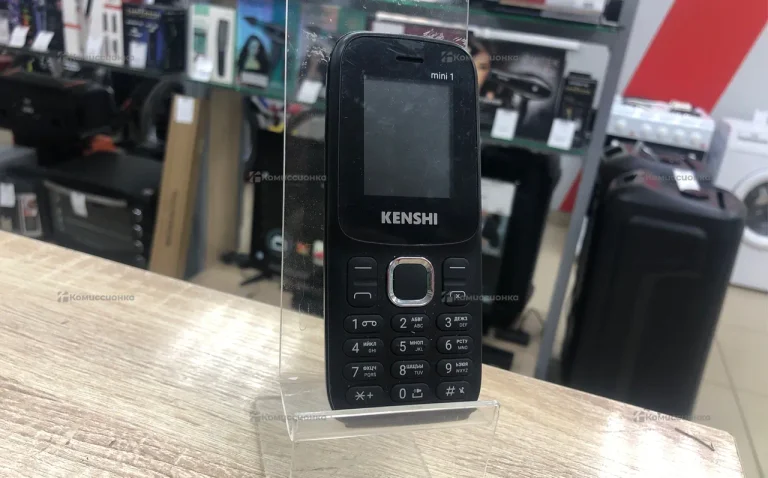 Kenshi mini 1