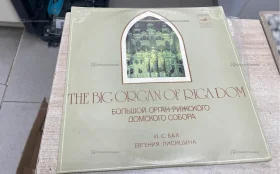 Виниловая пластинка