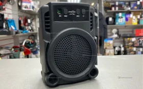 Колонка  GREATNICE GTS-1360