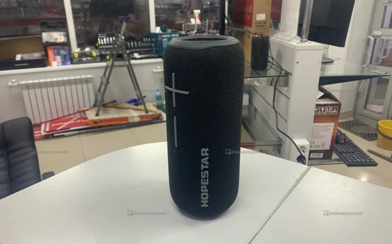 Колонка  HOPESTAR P39