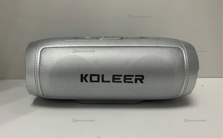Колонка KOLEER S1000
