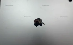 Купить Планшет Apple iPad (2025) A16 128gb б/у , в Москва и область Цена:26900рублей