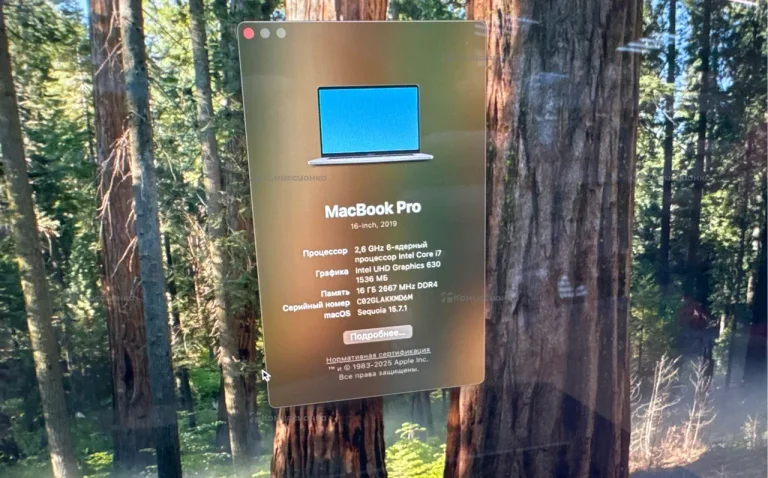 Ноутбук  MacBook Pro 16inch (2019)