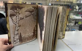 Купить Книга Гравити Фолз Дневник 3 б/у , в Санкт-Петербург Цена:890рублей