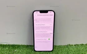 Купить Apple iPhone 13 Pro 6/256 ГБ б/у , в Казань Цена:33900рублей