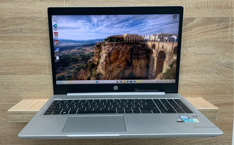 Ноутбук HP Pro Book 450 G6