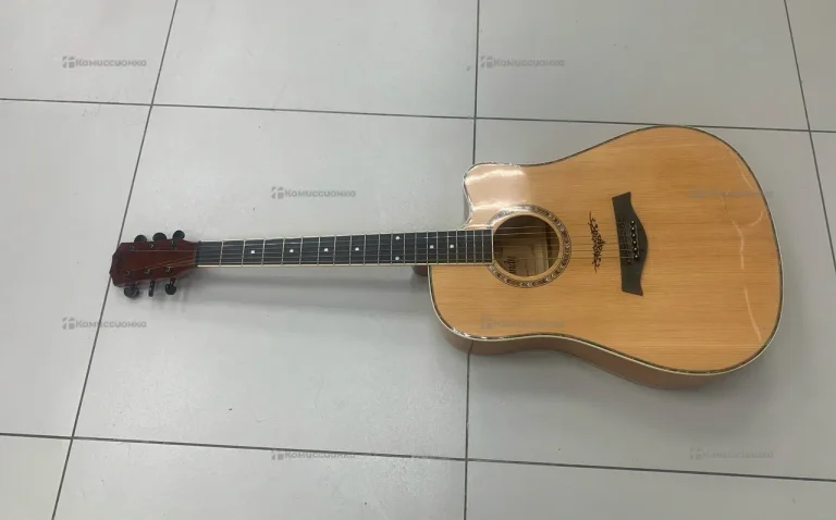 Акустическая гитара Sandy