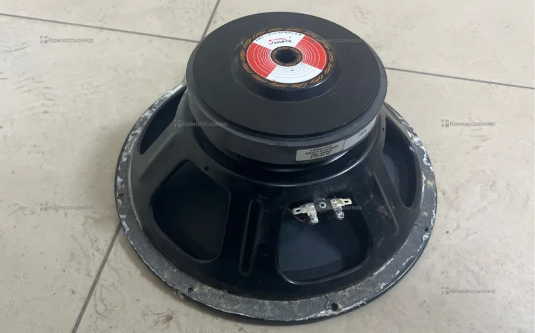 Колонка  SAUNDKING 12 300W