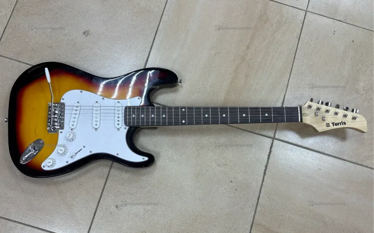 Электрогитара Terris
