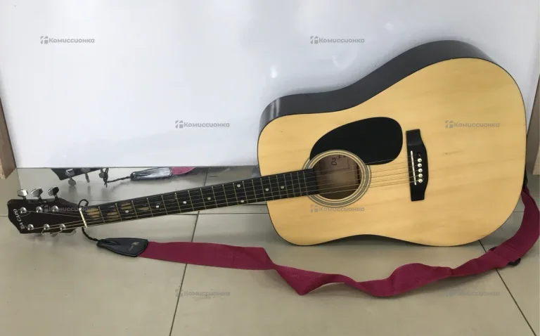 Гитара Da Capo SW-201