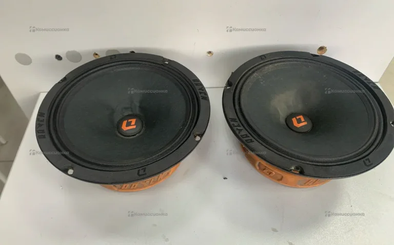 Колонки dl audio raven 165