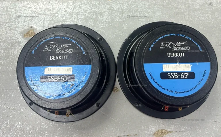 Колонка  SKY SSB-65