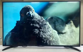 Телевизор IRBIS 50U1YDX125BS2