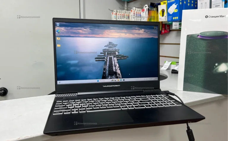 Ноутбук THUNDEROBOT 911 Air D GTX 1650