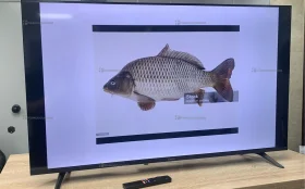 Телевизор Xiaomi Телевизор L43MA-AFRU