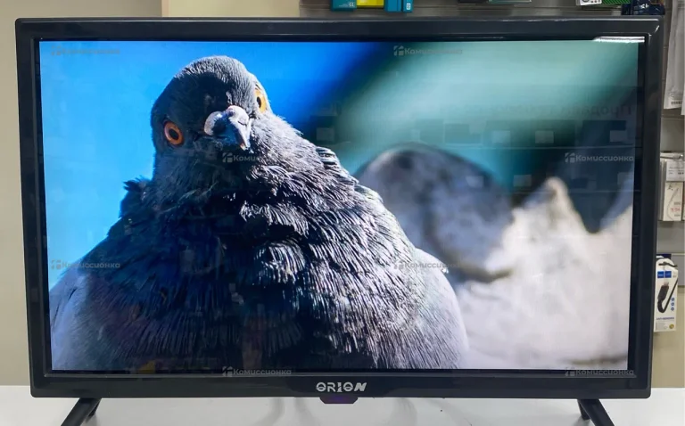 Телевизор Orion 24’’ smart
