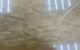 Apple iPhone 11 64 ГБ