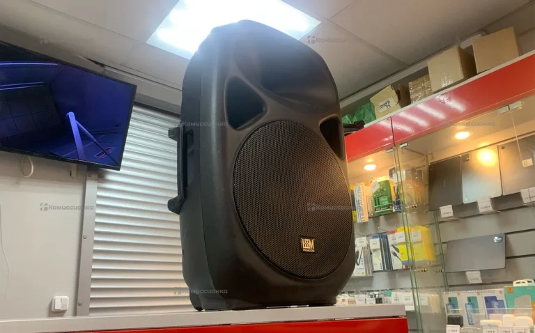 Колонка  Leem pro audio SPA.15