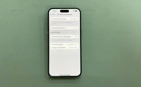 Apple iPhone 15 Pro Max 256Gb