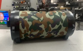 Колонка Forza