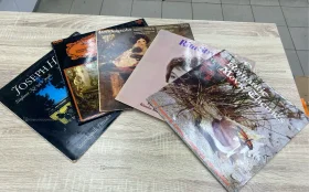 Купить Пластинки 5шт Rita, Movie, Mendelssohn,Johann,Hayd б/у , в Казань Цена:2300рублей