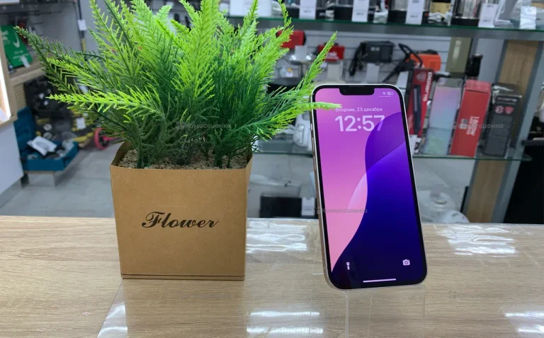 Apple iPhone 13 4/128 ГБ