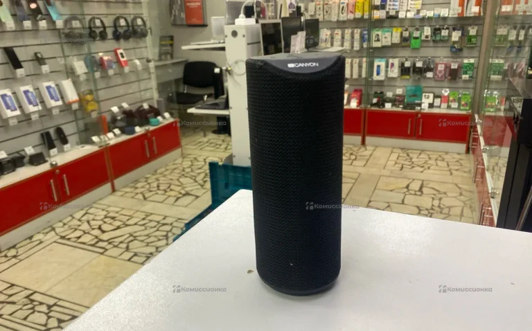 Колонка canyon cns-cbtsp5b